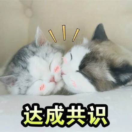 达成共识