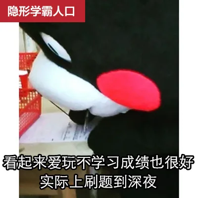 隐形学霸人口看起来爱玩不学习成绩也很好实际上刷题到深夜