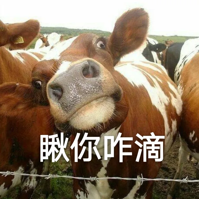 瞅你咋滴