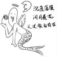 沉鱼落雁，闭月羞花，天使般的存在