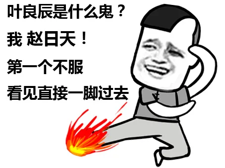 叶良辰是什么鬼？我赵日天第一不服，看见直接一脚过去