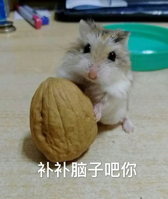 补补脑子吧你
