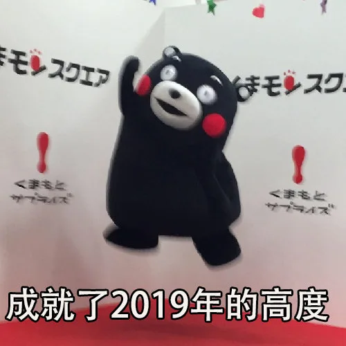 成就了2019年的高度（成就了2019年的高度）