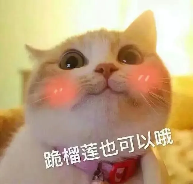 跪榴莲也可以哦