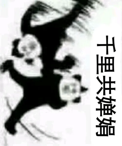 （一套武功秘籍-水调歌头_熊猫头）