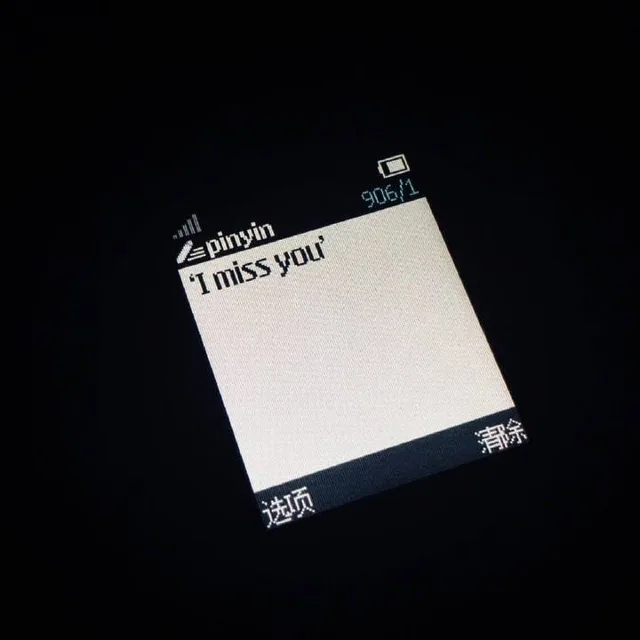 i miss you 我想你（i miss you 我想你）