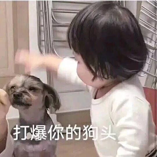 打爆你的狗头（打爆你的狗头）