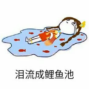 泪流成鲤鱼池（泪流成鲤鱼池）