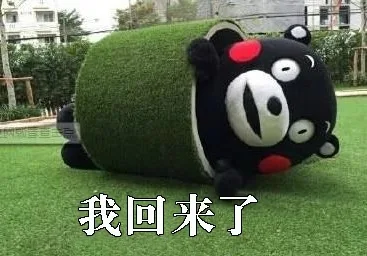 我回来了