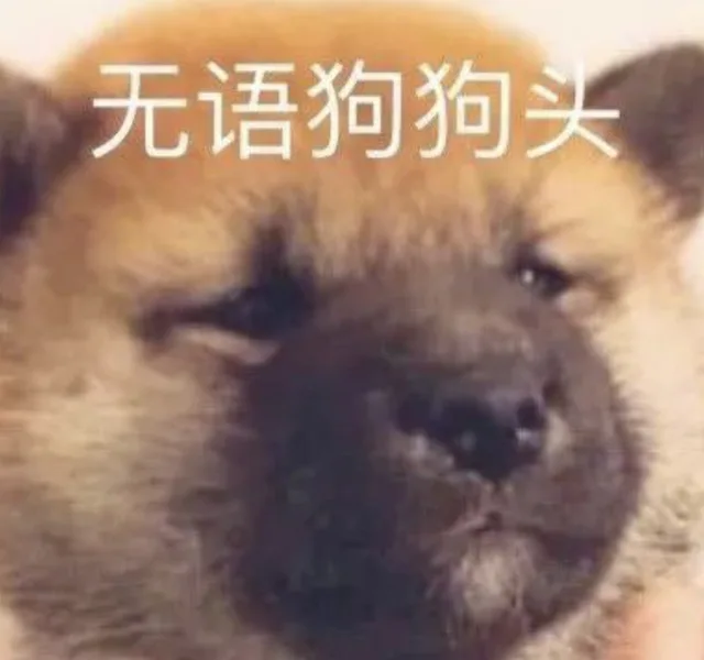 无语狗狗头（无语狗狗头）