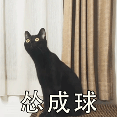 怂成球（怂成球）
