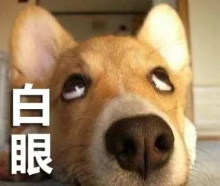 来自二狗的嘲笑_doge_汪星人_萌萌哒表情包