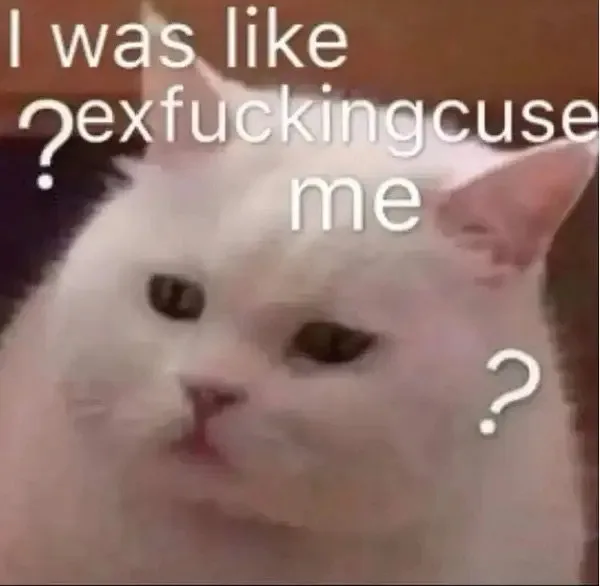 I was like?exfuckingcuseme2（I was like?exfuckingcuseme2）