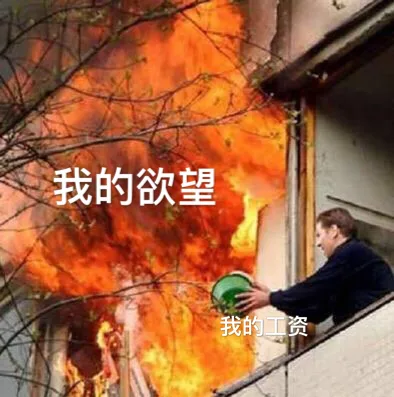 我的欲望我的工资（我的欲望我的工资）