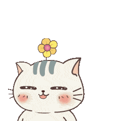 早喵猫咪