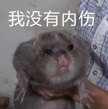 竹鼠表情包：我没有内伤（竹鼠表情包：我没有内伤）