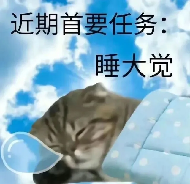 近期首要任务：睡大觉（近期首要任务：睡大觉）