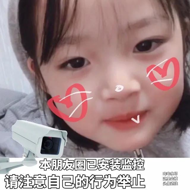 本朋友圈已安装监控，请注意自己的言行举止（本朋友圈已安装监控，请注意自己的言行举止）