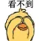 看不到