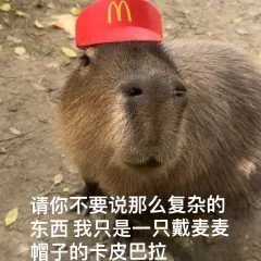 M请你不要说那么复杂的东西我只是一只戴麦麦帽子的卡皮巴拉(水豚表情包)（M请你不要说那么复杂的东西我只是一只戴麦麦帽子的卡皮巴拉(水豚表情包)）