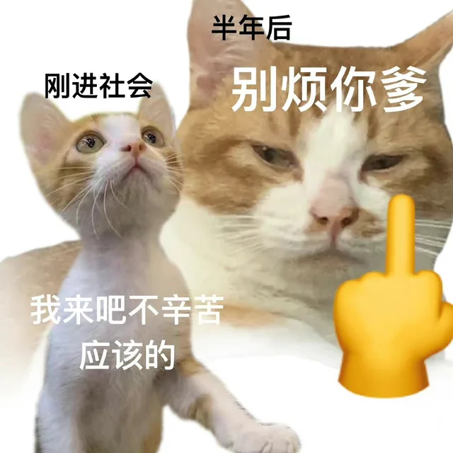 半年后刚进社会别烦你爹我来吧不辛苦应该的