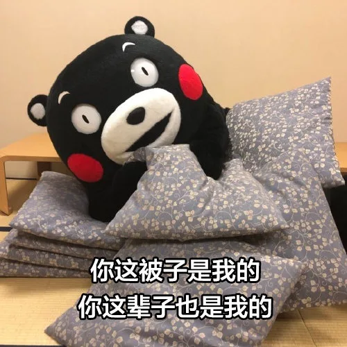你这被子是我的你这辈子也是我的（你这被子是我的你这辈子也是我的）