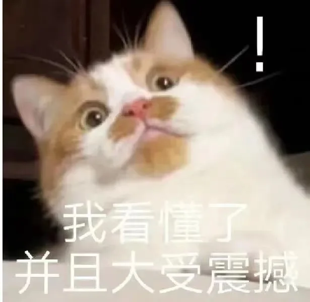 我看懂了并且大受震撼（我看懂了并且大受震撼）