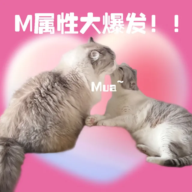 M属性大爆发！！Mua（M属性大爆发！！Mua）