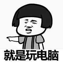 就是玩电脑