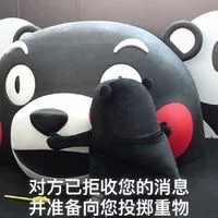 对方已拒收您的消息（熊本熊）_表情头牌_动图_熊本熊_搞笑_萌萌哒_可爱_卡通