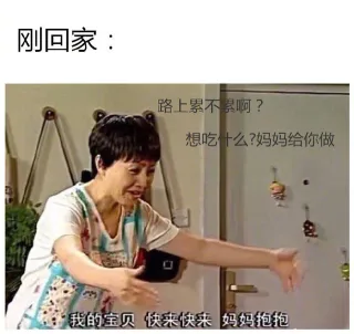 刚回来是宝贝，几天过后是累赘_内涵表情包