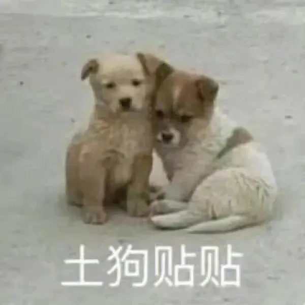 土狗贴贴（土狗贴贴）