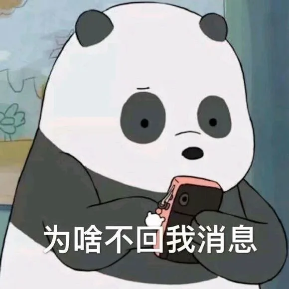 为啥不回我消息
