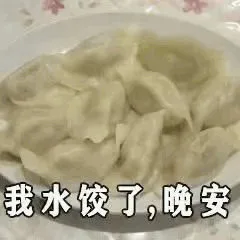 我水饺了，晚安（我水饺了，晚安）