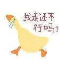 我走还不行吗