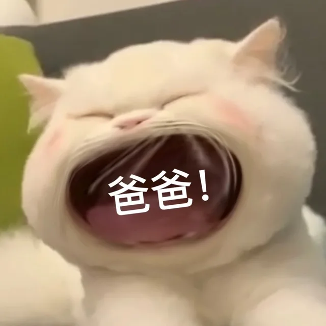 大嘴猫猫咪表情包