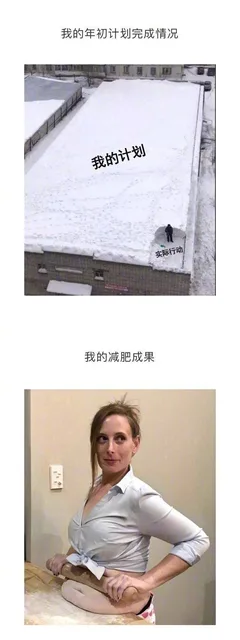 我的年初计划完成情况我的计划实际行动我的减肥成果
