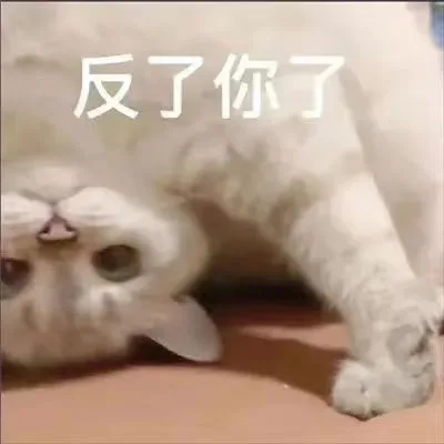 反了你了（反了你了）