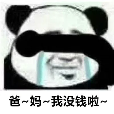 爸妈 我没钱啦