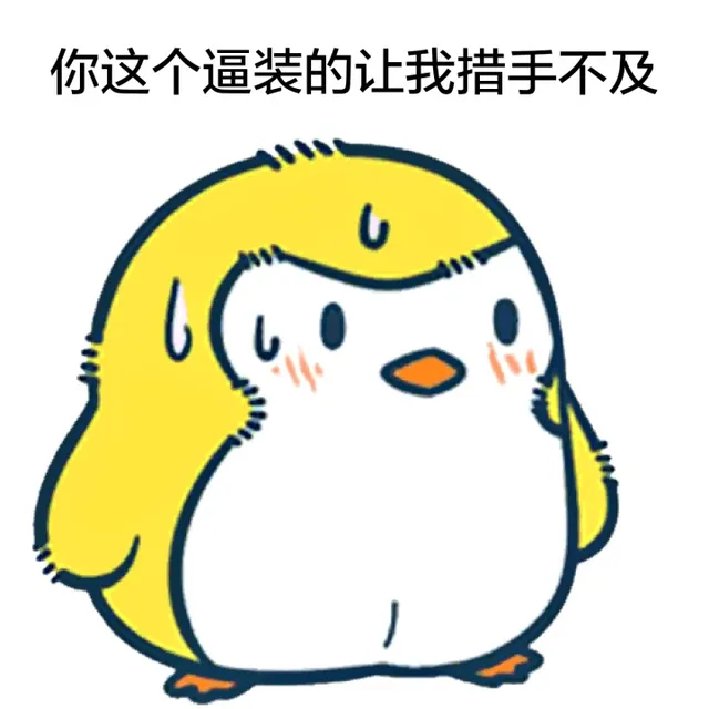 你这个逼装的让我措手不及（你这个逼装的让我措手不及）