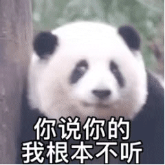 你说你的我根本不听（你说你的我根本不听）