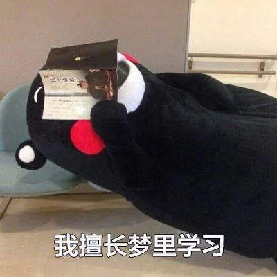 我擅长梦里学习（我擅长梦里学习）
