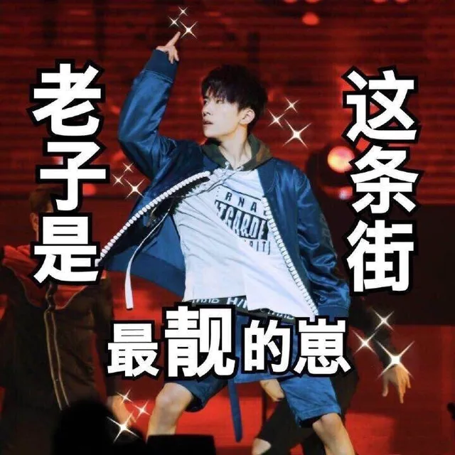 老子是这条街最靓的崽