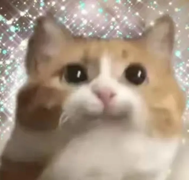 猫猫头表情包