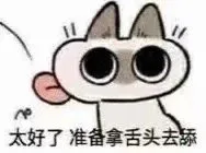 太好了准备拿舌头去添（太好了准备拿舌头去添）