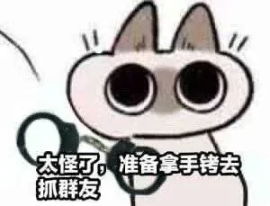 太怪了准备拿手铐去抓群友