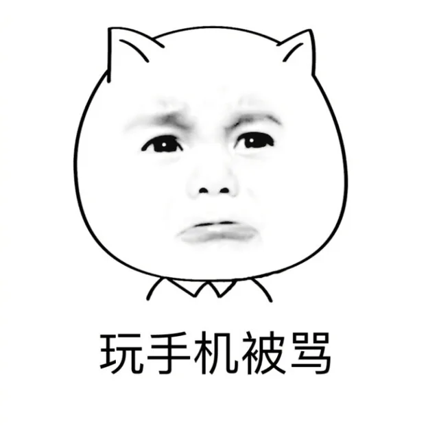 玩手机被骂