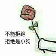 不能拒绝拒绝是小狗