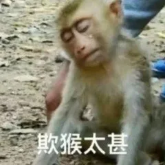 欺猴太甚（欺猴太甚）