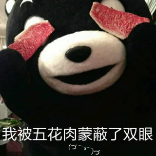 我被五花肉蒙蔽了双眼 熊本熊表情包_表情头牌_熊本熊_卡通